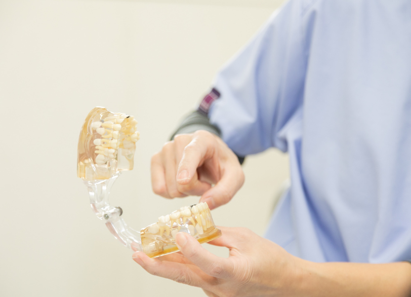 TSDのステップ｜うつのみや歯科