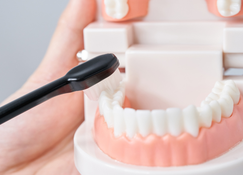 歯磨き指導｜うつのみや歯科